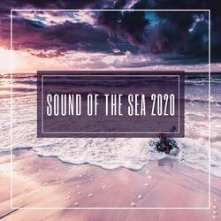 Gentle Ocean Waves