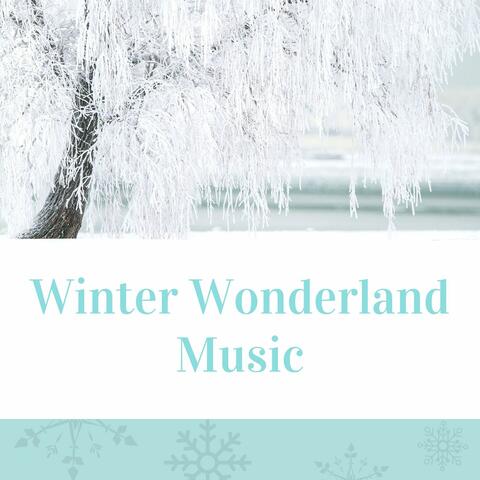Winter Wonderland Music: Instrumental Relaxing Songs for Cold Nights