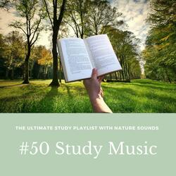 Background Music for Reading