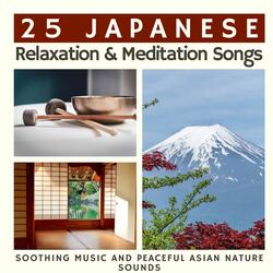 Wonderful Relaxing Song