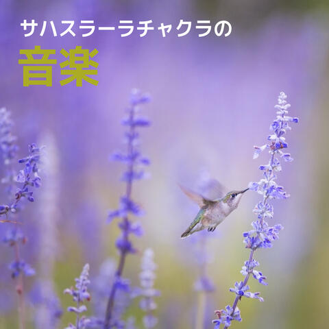 サハスラーラチャクラの音楽: 第七チャクラの活性化