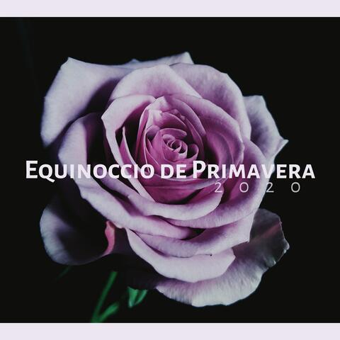 Equinoccio de Primavera 2020: Sonidos Sanadores de la Naturaleza, Lluvia y Truenos