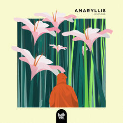 Amaryllis