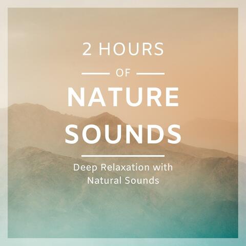 2 Hours of Nature Sounds - Deep Relaxation with Natural Sounds