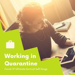 Work at Home