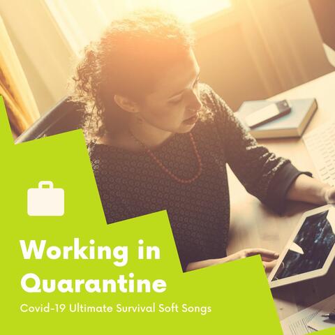 Working in Quarantine: Covid-19 Ultimate Survival Soft Songs for Concentration
