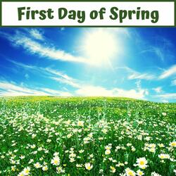 Today Will Be a Nice Day