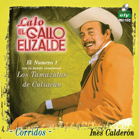 Lalo El Gallo Elizalde & Los Tamazulas de Culiacán