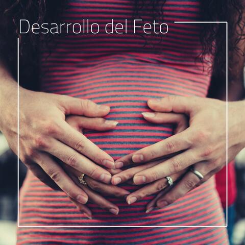 Desarrollo del Feto: Ondas y Frecuencias Cerebrales para Relajar Mamá y Bebé