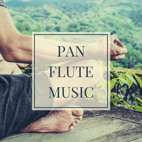 Pan Flute Music: Relaxing Peruvian Flute music for Sleep and Meditation