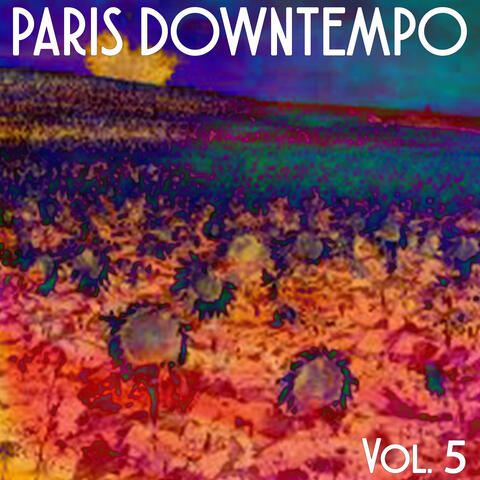 Paris Downtempo, Vol. 5