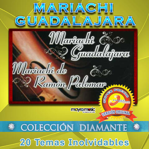 Mariachi Guadalajara