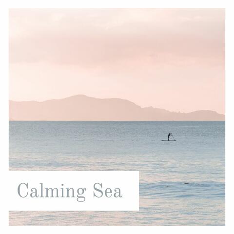 Calming Sea: Relaxing Ocean Waves, Seagulls, Paradisiac Tropical Beach with Sun, Blue Sky and Nature Sounds