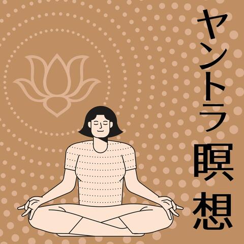 ヤントラ瞑想: インドの瞑想でチャクラ全解放