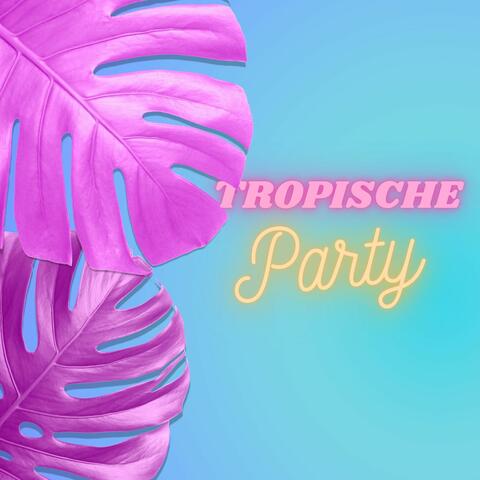 Tropische Party: Tanzen zu urbaner & karibischer Musik, erlebe die Leidenschaft