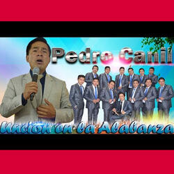 Necesito