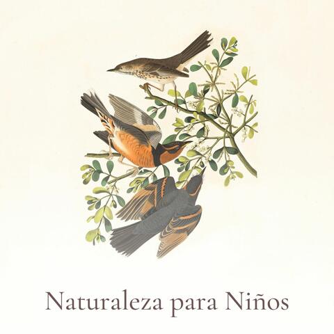 Naturaleza para Niños: Música con Sonidos Naturales para Relajar y Entretener Niños