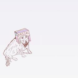 i heard you were looking like the moon