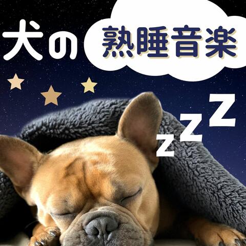 犬の熟睡音楽: 睡眠導入ハープ・犬の安らぎ周波数インストゥルメント