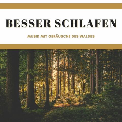Besser Schlafen: Musik mit Geräusche des Waldes zum entspannen und einschlafen