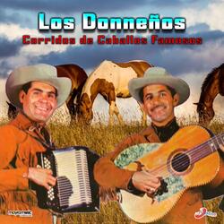 El Potro Lobo Gateado