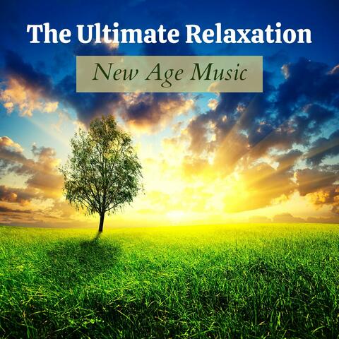 The Ultimate Relaxation New Age Music: Healing Therapy, Rain Sounds, Ambient Music, Amazon Rainforest