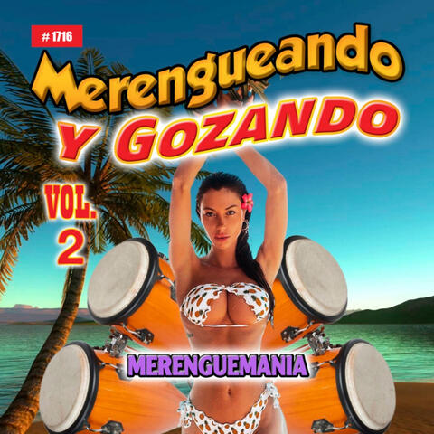 Merengueando Y Gozando, Vol. 2