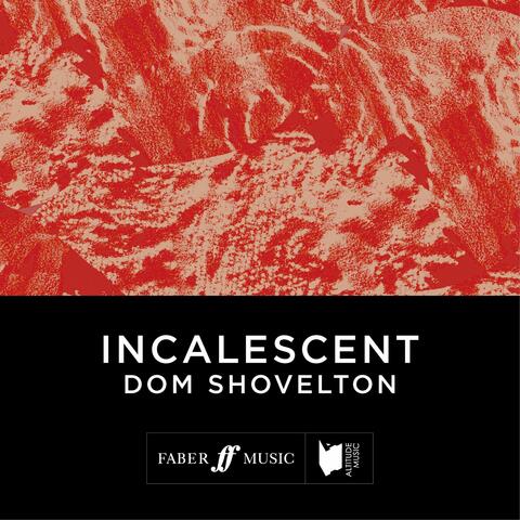 Dominic Shovelton
