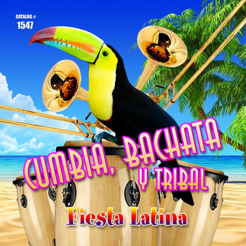Cumbia  Bachata y Tribal