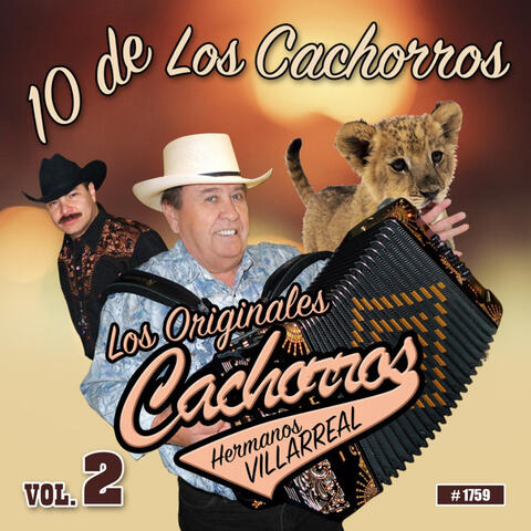 10 De Los Cachorros, Vol. 2