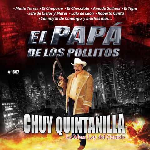 El Papa De Los Pollitos