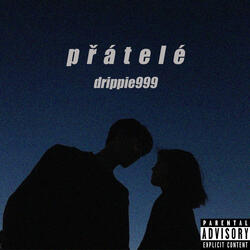 PŘÁTELÉ