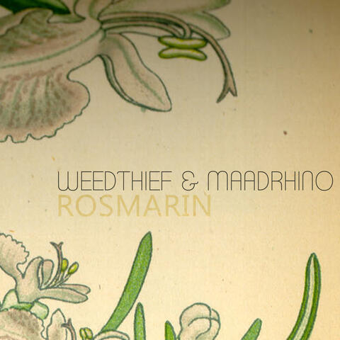 Rosmarin