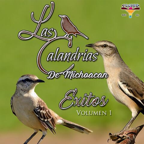 Exitos Volumen 1