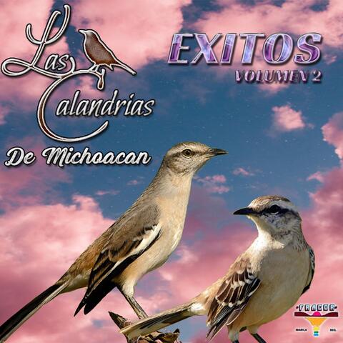 Exitos Voumen 2