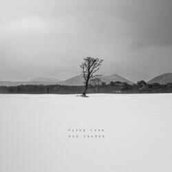 Dying tree