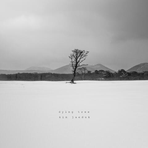 Dying tree