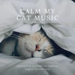 The Best Way to Relax
