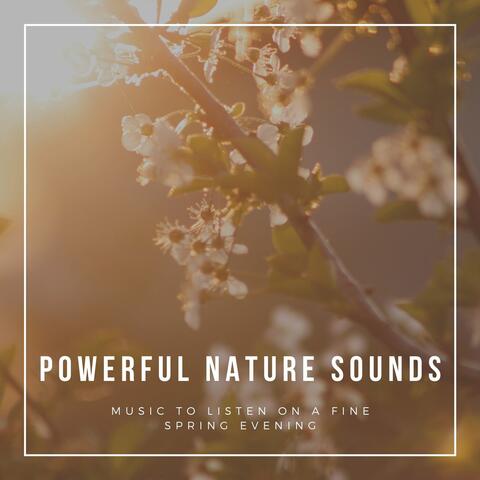 Powerful Nature Sounds: Music to Listen on a Fine Spring Evening