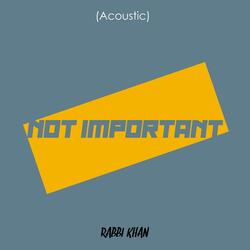 Not Important