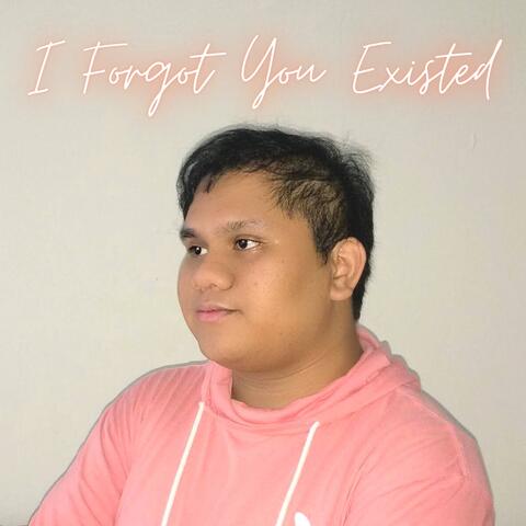 I Forgot You Existed