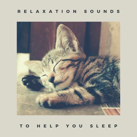 Relaxation Sounds to Help you Sleep: Sleep-Aid Music to Make you Fall Asleep Quickly and Wake Up Refreshed