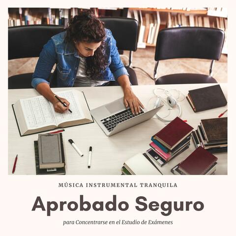 Aprobado Seguro: Música Instrumental Tranquila para Concentrarse en el Estudio de Exámenes