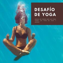 Vida Yogui