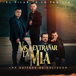 Vas a Extrañar La Mia