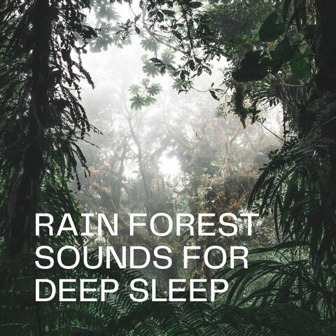Rain Forest Sounds for Deep Sleep: White Noise Rainstorm Music for Deep Sleeping