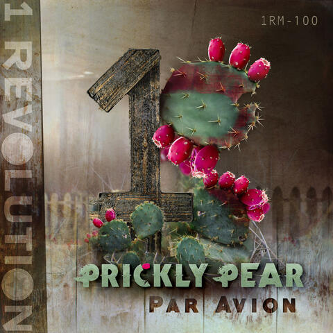 Prickly Pear