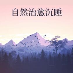 睡眠背景音
