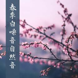 鸟自然