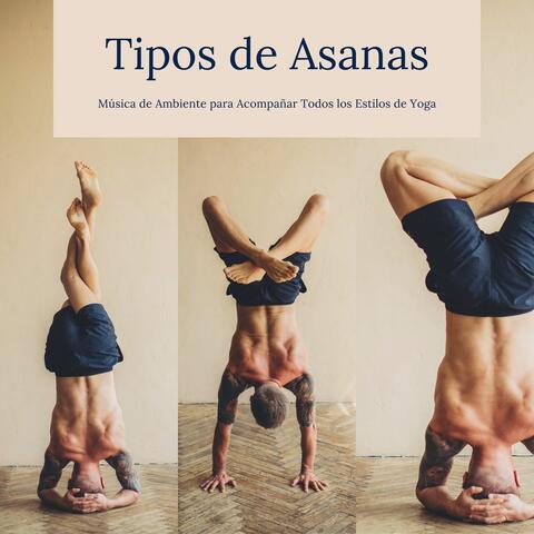 Tipos de Asanas: Música de Ambiente para Acompañar Todos los Estilos de Yoga